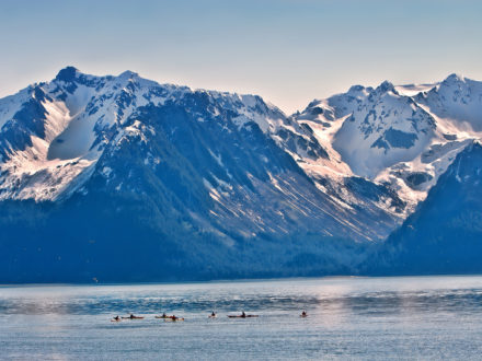 The Lure of Alaska