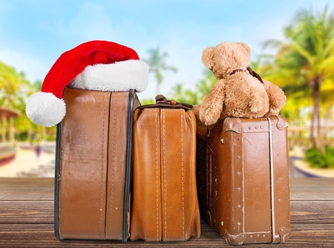 Tips for Holiday Travel