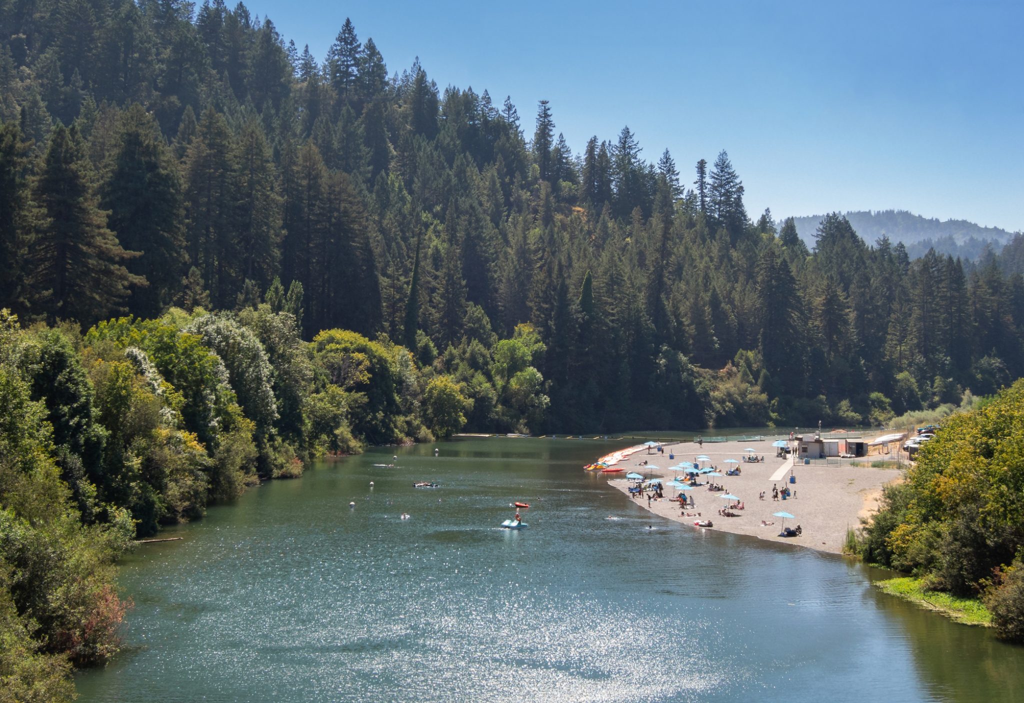 Why Whine When You Can Wine? The Lures of the Russian River - Purple