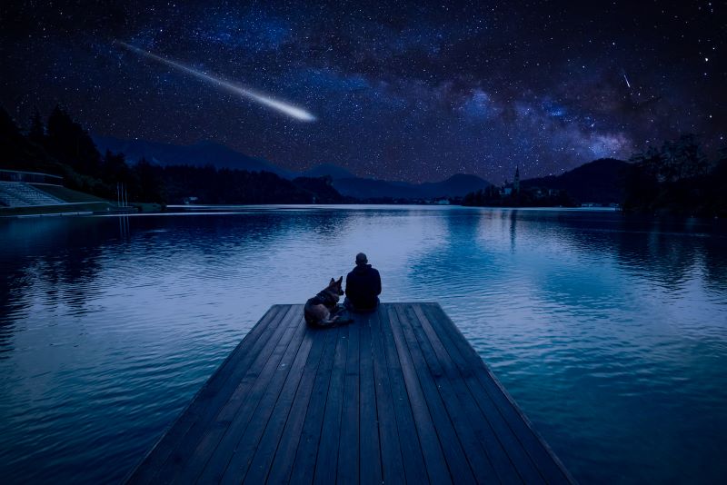 The Best Places to Watch a Meteor Shower in North America Purple